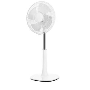 Pedestal Fans