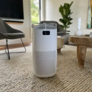 fanco-bright-smart-air-purifier-in-living-room